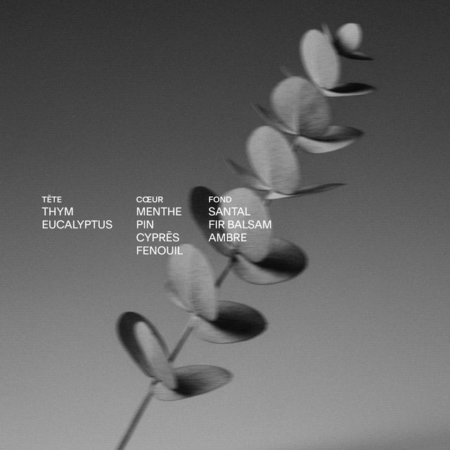 Bougie parfumēe avec sphēre en porcelaine, Jardin d'hier